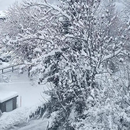 아파트 Snow Nest: Superbe Cocon Enneige