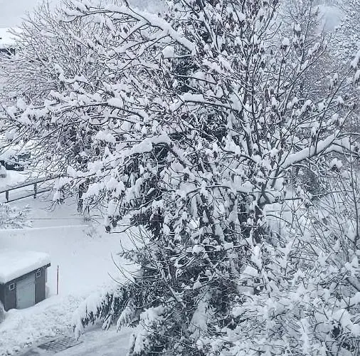 アパート Snow Nest: Superbe Cocon Enneige
